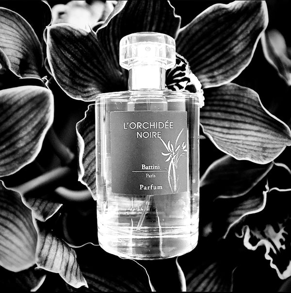 L'Orchidée Noire